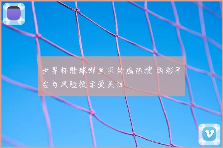 世界杯赌球哪里买好成热搜 购彩平台与风险提示受关注
