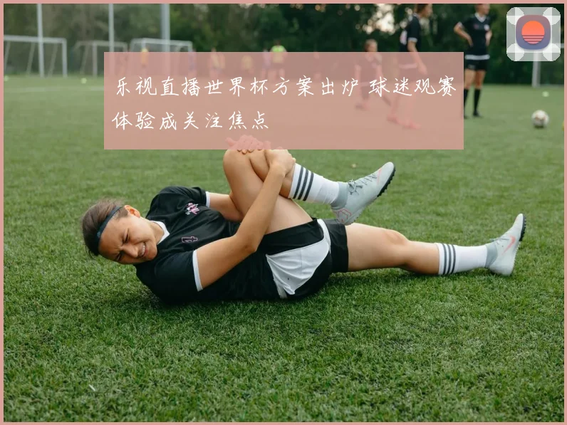 乐视直播世界杯方案出炉 球迷观赛体验成关注焦点