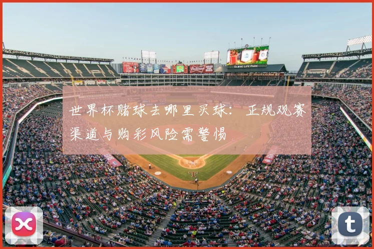 世界杯赌球去哪里买球：正规观赛渠道与购彩风险需警惕