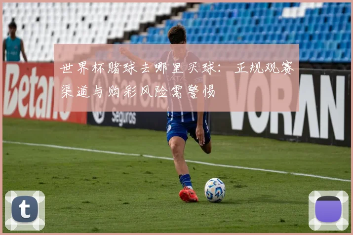 世界杯赌球去哪里买球:正规观赛渠道与购彩风险需警惕