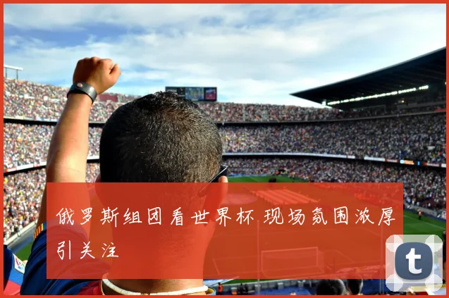 俄罗斯组团看世界杯 现场氛围浓厚引关注
