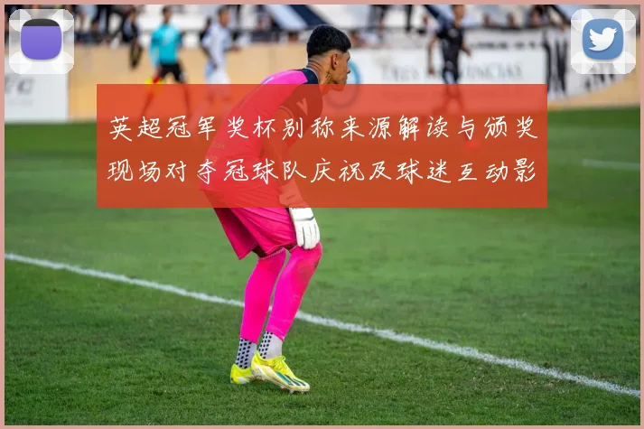 英超冠军奖杯别称来源解读与颁奖现场对夺冠球队庆祝及球迷互动影响